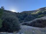  Shadow Valley Lane - Photo 17