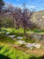 5222 Dogtown - Photo 32