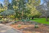 13206 Wright Way - Photo 63
