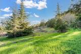 13206 Wright Way - Photo 66