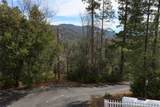 36328 Finegold Creek Drive - Photo 5