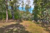 36328 Finegold Creek Drive - Photo 55