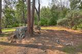 36328 Finegold Creek Drive - Photo 56