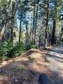 35 Spring Drive - Photo 3