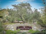 5 Ash Hollow Trail - Photo 39