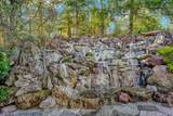 8451 Goldenrod Circle - Photo 68