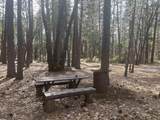 29960 Wengler Hill Rd - Photo 29