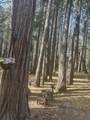 29960 Wengler Hill Rd - Photo 40