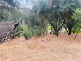 31578 Road 400 - Photo 10