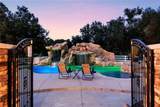 38151 Calle De Lobo - Photo 33