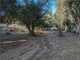 38151 Calle De Lobo - Photo 55