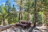 28679 Shenandoah Drive - Photo 28