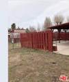126 Pine Street - Photo 12