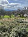 20073 Powder Horn Road - Photo 13