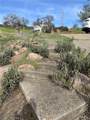 20073 Powder Horn Road - Photo 14