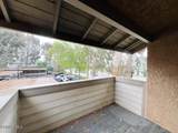4569 Alamo Street - Photo 11