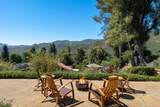 29728 Triunfo Drive - Photo 58