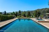29728 Triunfo Drive - Photo 61