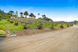 16757 Old Guejito Grade Road - Photo 24