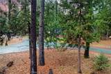1 Old Madrone Road - Photo 16