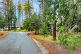 1 Old Madrone Road - Photo 3