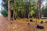 1 Old Madrone Road - Photo 5