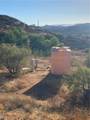 20920 Sawgo Drive - Photo 10