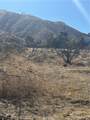 0 Honeybee Lane - Photo 13