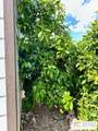 69801 Ramon Road - Photo 13