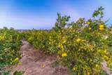 15299 Middle Ranch Road - Photo 29