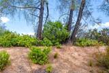 12220 Cerrito Drive - Photo 13