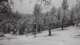 0 Olympia Drive - Photo 7