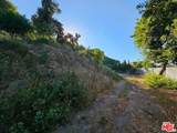 13388 Newcomb Drive - Photo 1