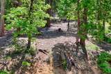 7220 Yosemite Park Way - Photo 10