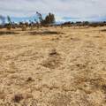 0 Black Mountain Boulevard - Photo 10
