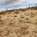 0 Black Mountain Boulevard - Photo 14