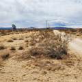 0 Black Mountain Boulevard - Photo 6