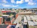 5 Lucerne Street - Photo 29
