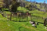 39249 Road 800 - Photo 13