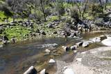 39249 Road 800 - Photo 18