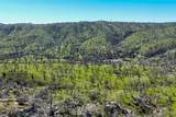 39249 Road 800 - Photo 35