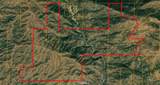 39249 Road 800 - Photo 36