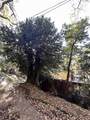 2947 Kilkare Rd - Photo 16