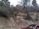 29602 Hook Creek Road - Photo 2