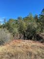 15289 Burch Lane - Photo 8