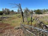 4824 Salmon Drive - Photo 12