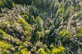 21200 Big Basin Way - Photo 32