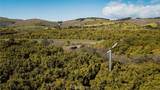 1800 Atascadero Road - Photo 39