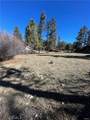 40063 Big Bear Boulevard - Photo 2