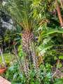 30722 Marilyn Drive - Photo 41